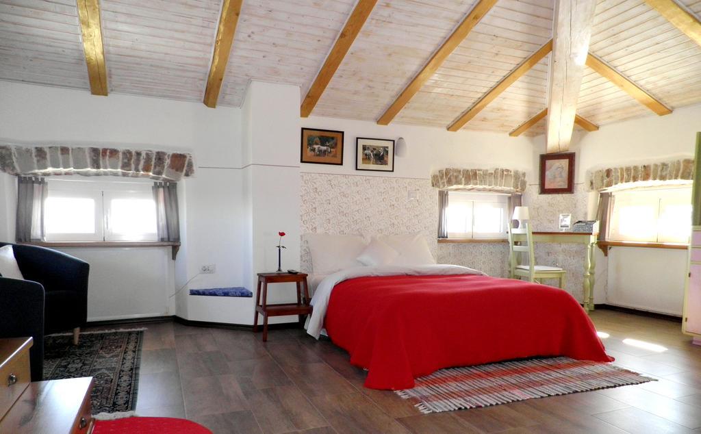 Apartman Studio Sijara Motovun